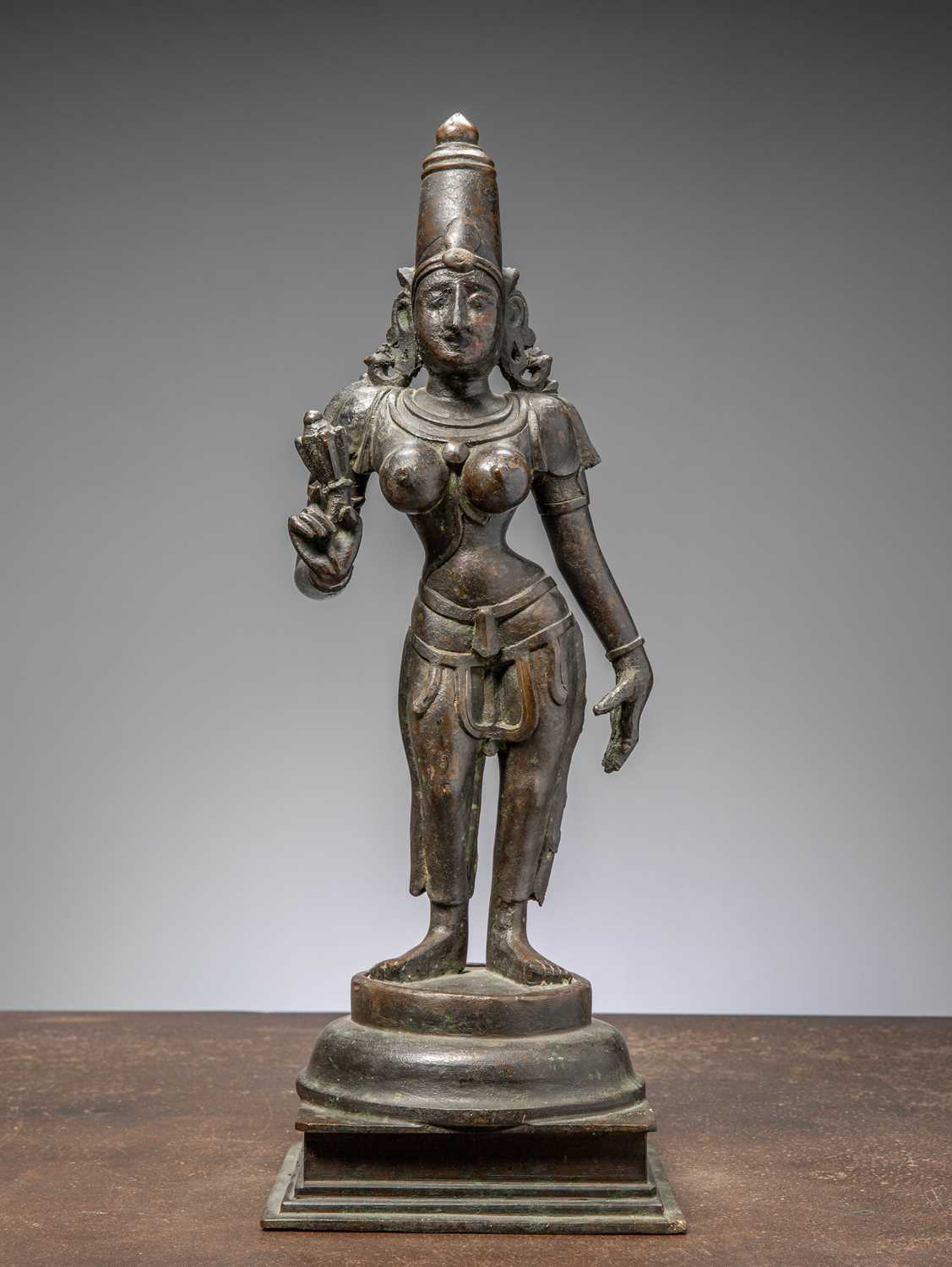 Lot 30 - (R) LARGE STANDING BRONZE PARVATI , SOUTH INDIA TAMIL NADU 16TH CENTURY