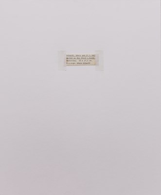 Lot 62 - Reiter auf dem Pferd und Hunde , Edwin Scharff , geb. 21.3.1887