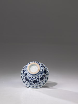 Lot 48 - CUP